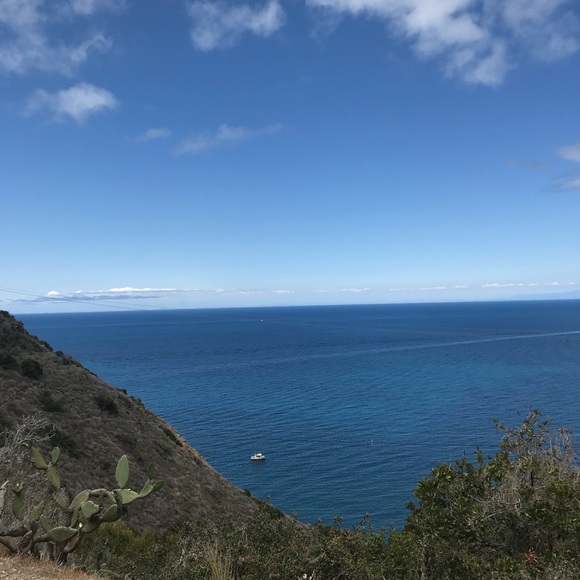 Meet your Posher, Yolie - Picture 6 of 8